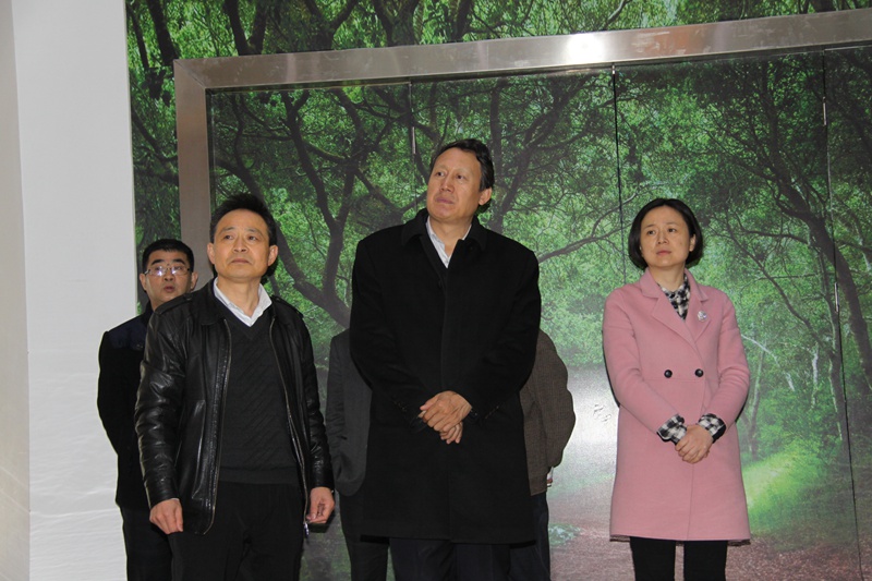 杭州亞運會官方靈芝產品供應商|杭州亞運會官方供應商|中國靈芝十大品牌|仙客來靈芝|仙客來靈芝破壁孢子粉|仙客來孢子油|仙客來靈芝飲片|仙客來破壁孢子粉|靈芝孢子油|孢子粉|靈芝破壁孢子粉|靈芝|中華老字號