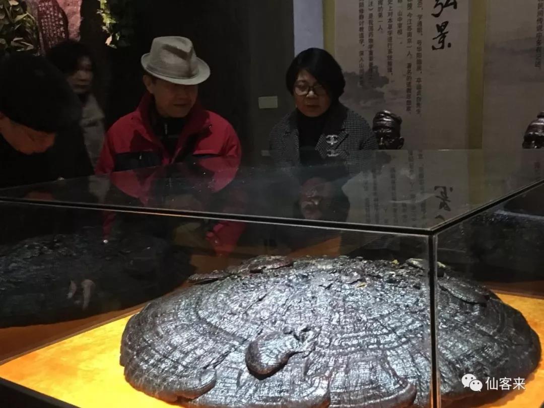 中國靈芝十大品牌|仙客來靈芝|仙客來靈芝破壁孢子粉|仙客來孢子油|仙客來靈芝飲片|仙客來破壁孢子粉|仙客來靈芝中藥飲片|馳名商標(biāo)|www.pureinfact.com|