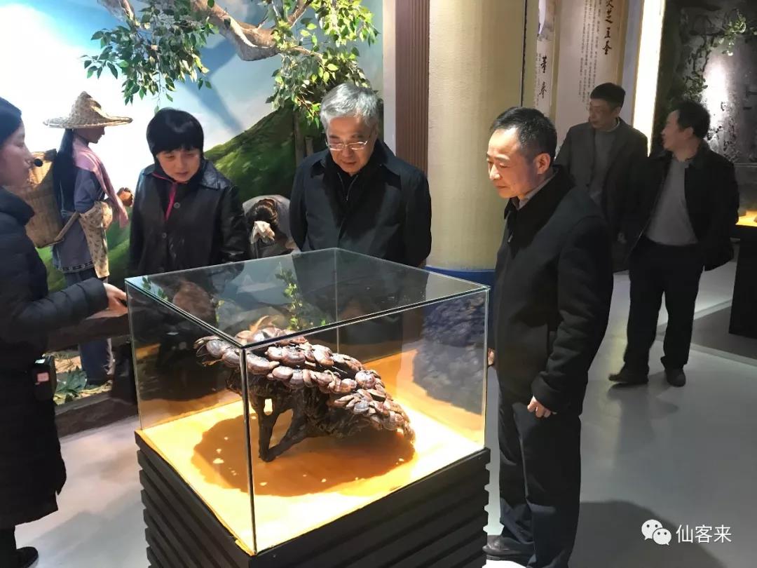 中國靈芝十大品牌|仙客來靈芝|仙客來靈芝破壁孢子粉|仙客來孢子油|仙客來靈芝飲片|仙客來破壁孢子粉|仙客來靈芝中藥飲片|馳名商標(biāo)|www.pureinfact.com|