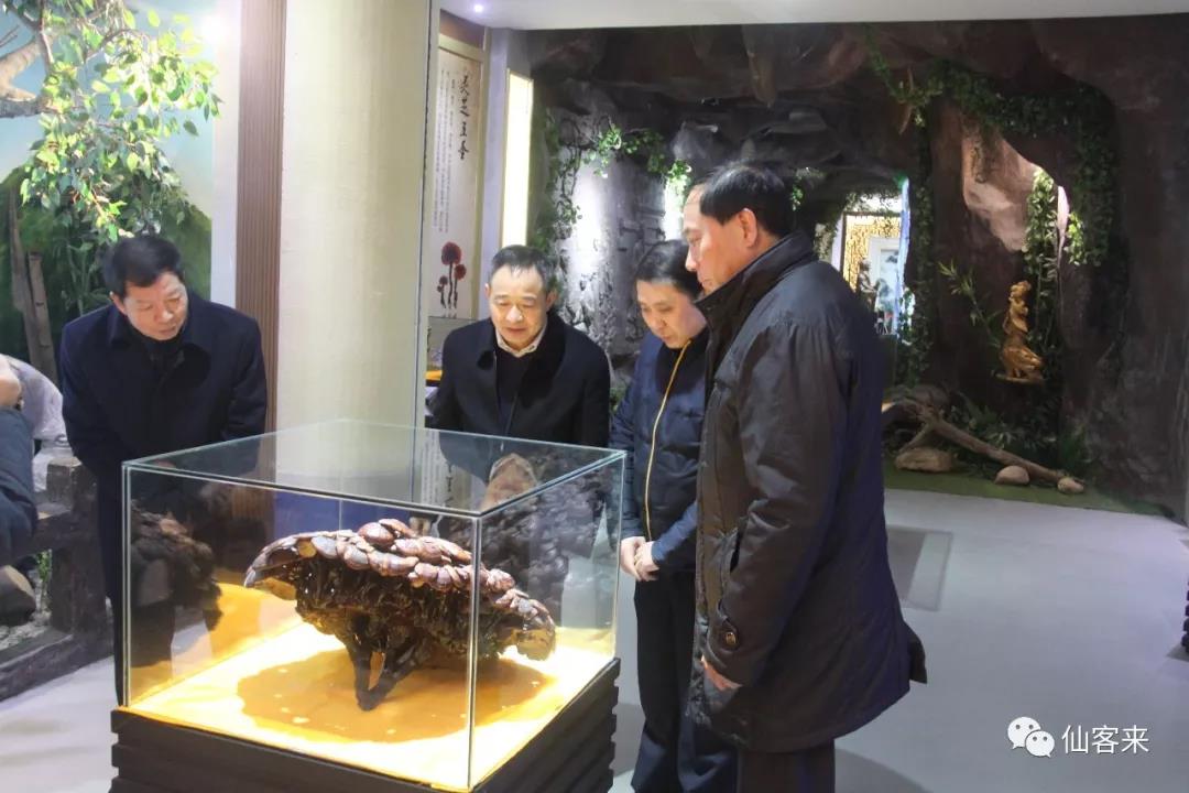 中國靈芝十大品牌|仙客來靈芝|仙客來靈芝破壁孢子粉|仙客來孢子油|仙客來靈芝飲片|仙客來破壁孢子粉|仙客來靈芝中藥飲片|馳名商標|www.pureinfact.com|