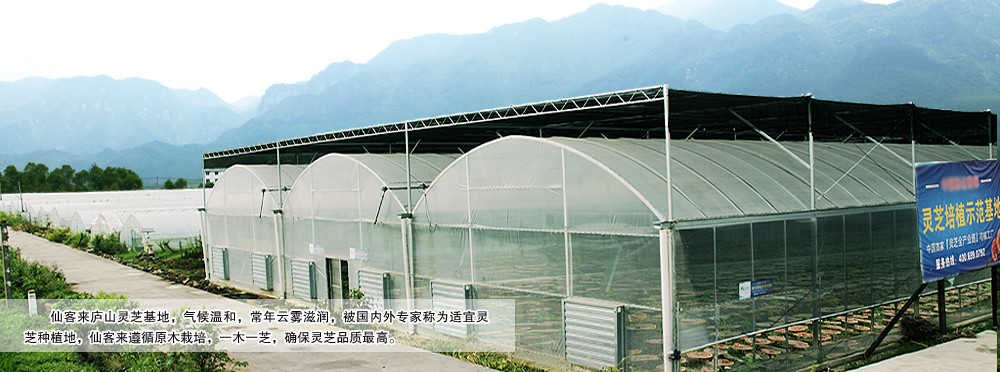 中國靈芝十大品牌|仙客來靈芝|仙客來靈芝破壁孢子粉|仙客來孢子油|仙客來靈芝飲片|仙客來破壁孢子粉|仙客來靈芝中藥飲片|馳名商標(biāo)|www.pureinfact.com|
