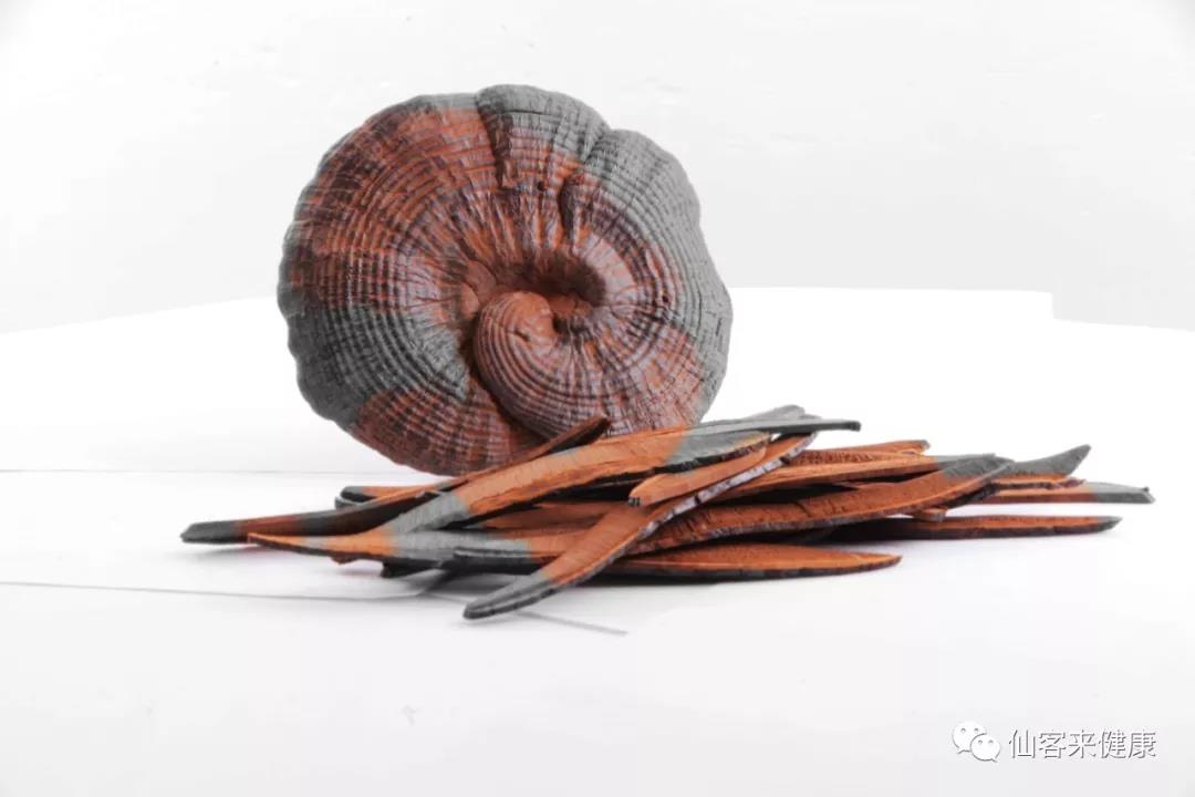 中國靈芝十大品牌|仙客來靈芝|仙客來靈芝破壁孢子粉|仙客來孢子油|仙客來靈芝飲片|仙客來破壁孢子粉|仙客來靈芝中藥飲片|馳名商標(biāo)|www.pureinfact.com|