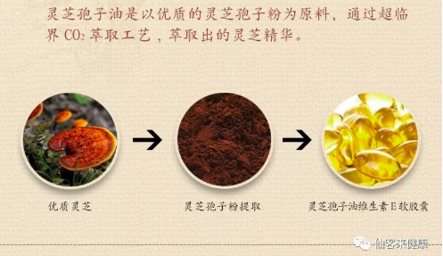 中國(guó)靈芝十大品牌|仙客來(lái)靈芝|仙客來(lái)靈芝破壁孢子粉|仙客來(lái)孢子油|仙客來(lái)靈芝飲片|仙客來(lái)破壁孢子粉|仙客來(lái)靈芝中藥飲片|馳名商標(biāo)|www.pureinfact.com|