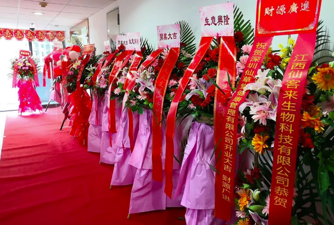 中國(guó)靈芝十大品牌|仙客來(lái)靈芝|仙客來(lái)靈芝破壁孢子粉|仙客來(lái)孢子油|仙客來(lái)靈芝飲片|仙客來(lái)破壁孢子粉|仙客來(lái)靈芝中藥飲片|馳名商標(biāo)|www.pureinfact.com|