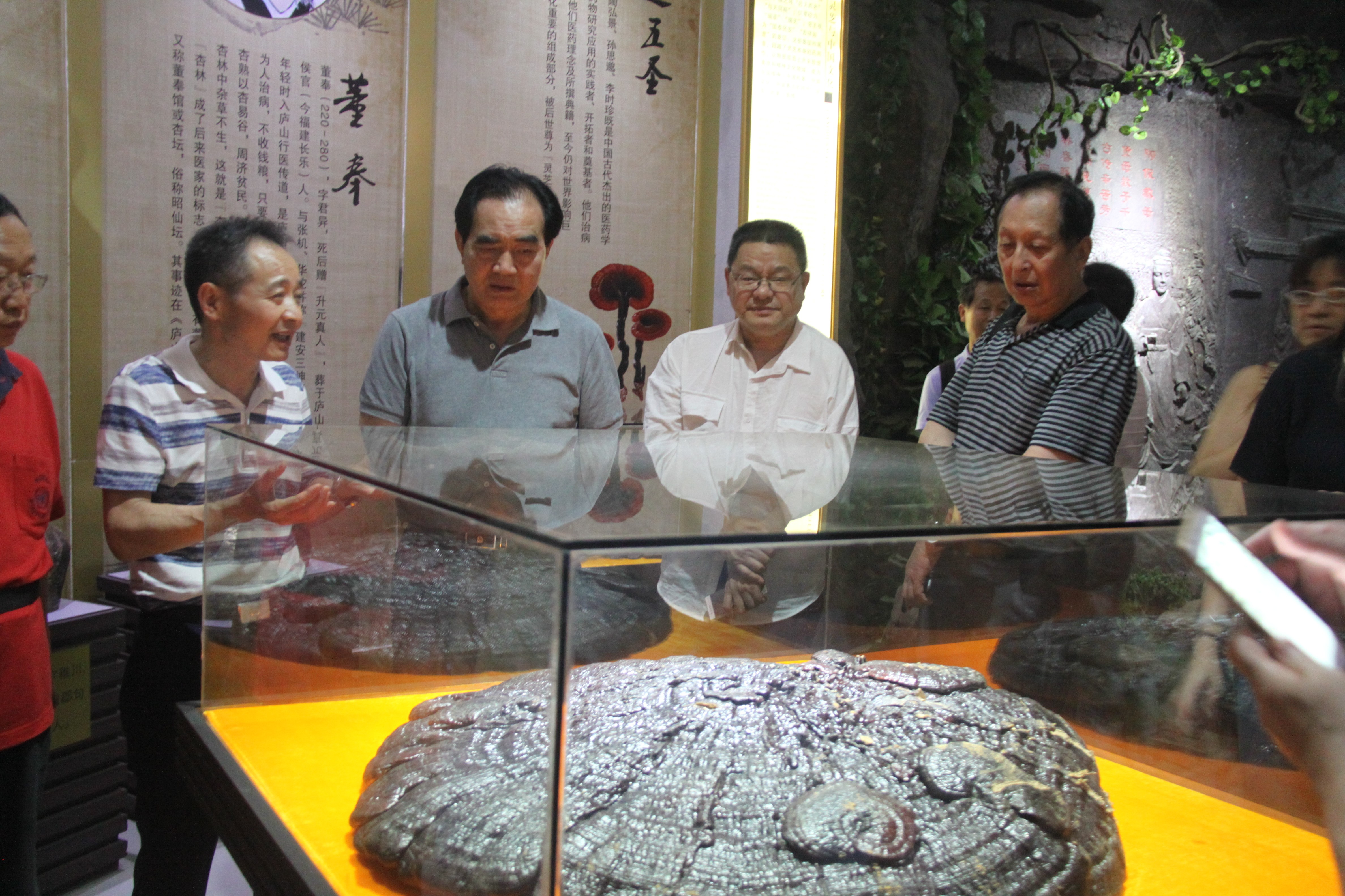 中國靈芝十大品牌|仙客來靈芝|仙客來靈芝破壁孢子粉|仙客來孢子油|仙客來靈芝飲片|仙客來破壁孢子粉|仙客來靈芝中藥飲片|馳名商標(biāo)|www.pureinfact.com|