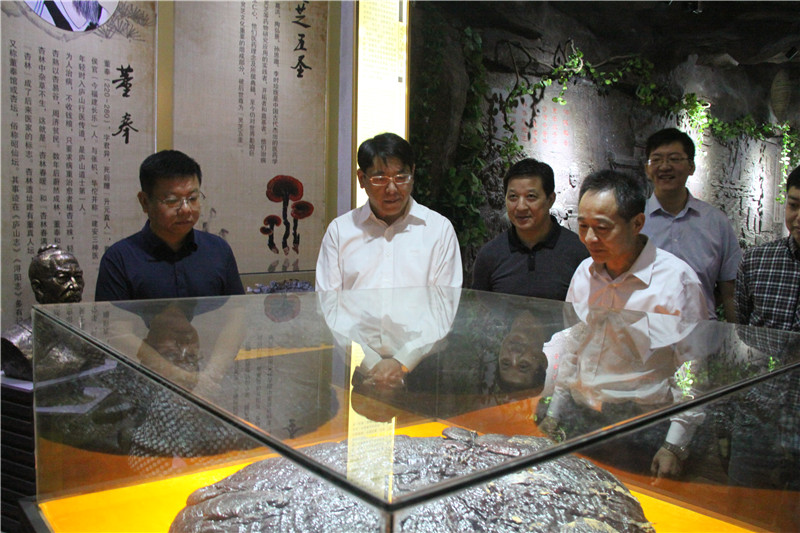 中國靈芝十大品牌|仙客來靈芝|仙客來靈芝破壁孢子粉|仙客來孢子油|仙客來靈芝飲片|仙客來破壁孢子粉|仙客來靈芝中藥飲片|馳名商標|www.pureinfact.com|