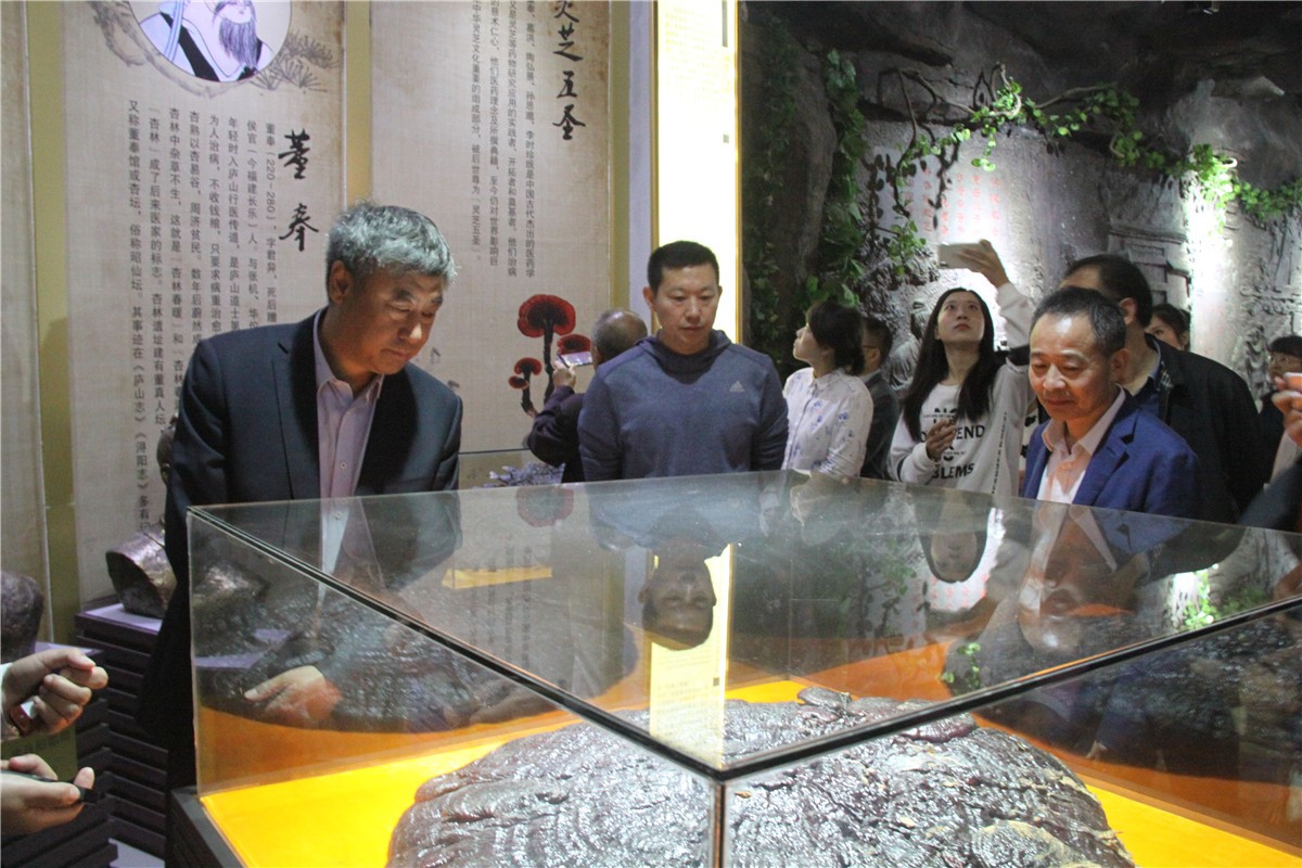 中國靈芝十大品牌|仙客來靈芝|仙客來靈芝破壁孢子粉|仙客來孢子油|仙客來靈芝飲片|仙客來破壁孢子粉|仙客來靈芝中藥飲片|馳名商標|www.pureinfact.com|