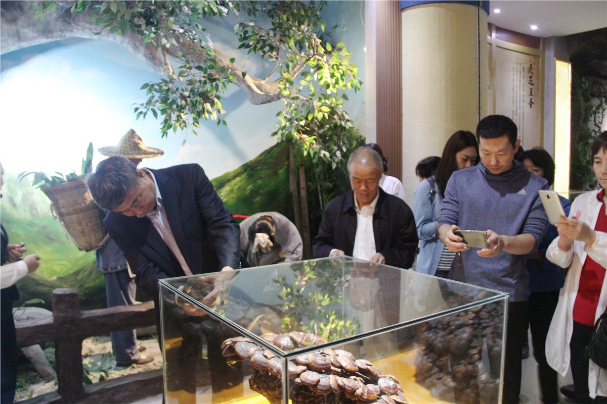 中國靈芝十大品牌|仙客來靈芝|仙客來靈芝破壁孢子粉|仙客來孢子油|仙客來靈芝飲片|仙客來破壁孢子粉|仙客來靈芝中藥飲片|馳名商標|www.pureinfact.com|