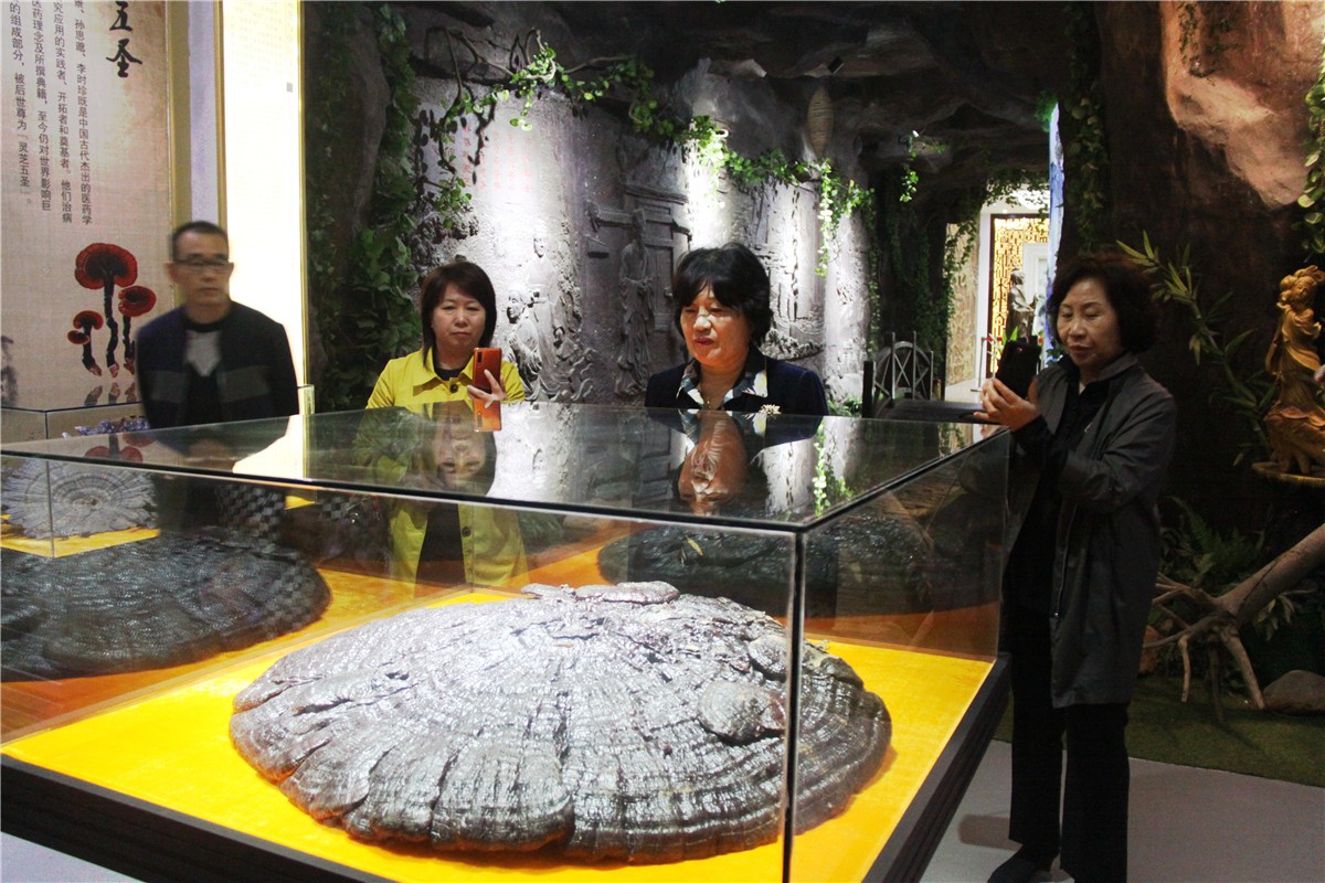 中國(guó)靈芝十大品牌|仙客來靈芝|仙客來靈芝破壁孢子粉|仙客來孢子油|仙客來靈芝飲片|仙客來破壁孢子粉|仙客來靈芝中藥飲片|馳名商標(biāo)|www.pureinfact.com|