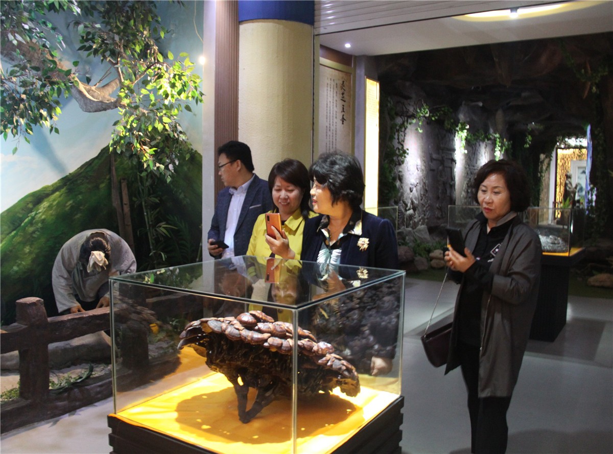 中國(guó)靈芝十大品牌|仙客來靈芝|仙客來靈芝破壁孢子粉|仙客來孢子油|仙客來靈芝飲片|仙客來破壁孢子粉|仙客來靈芝中藥飲片|馳名商標(biāo)|www.pureinfact.com|