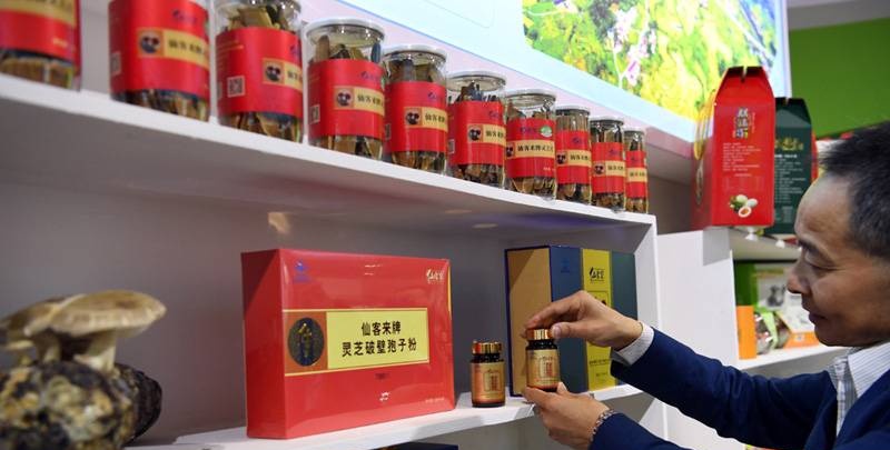 中國靈芝十大品牌|仙客來靈芝|仙客來靈芝破壁孢子粉|仙客來孢子油|仙客來靈芝飲片|仙客來破壁孢子粉|仙客來靈芝中藥飲片|馳名商標|www.pureinfact.com|