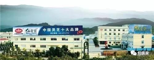 中國靈芝十大品牌|仙客來靈芝|仙客來靈芝破壁孢子粉|仙客來孢子油|仙客來靈芝飲片|仙客來破壁孢子粉|仙客來靈芝中藥飲片|馳名商標(biāo)|www.pureinfact.com|
