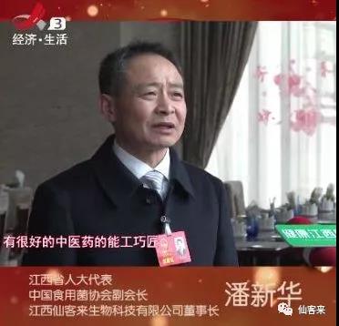 中國靈芝十大品牌|仙客來靈芝|仙客來靈芝破壁孢子粉|仙客來孢子油|仙客來靈芝飲片|仙客來破壁孢子粉|仙客來靈芝中藥飲片|馳名商標|www.pureinfact.com|