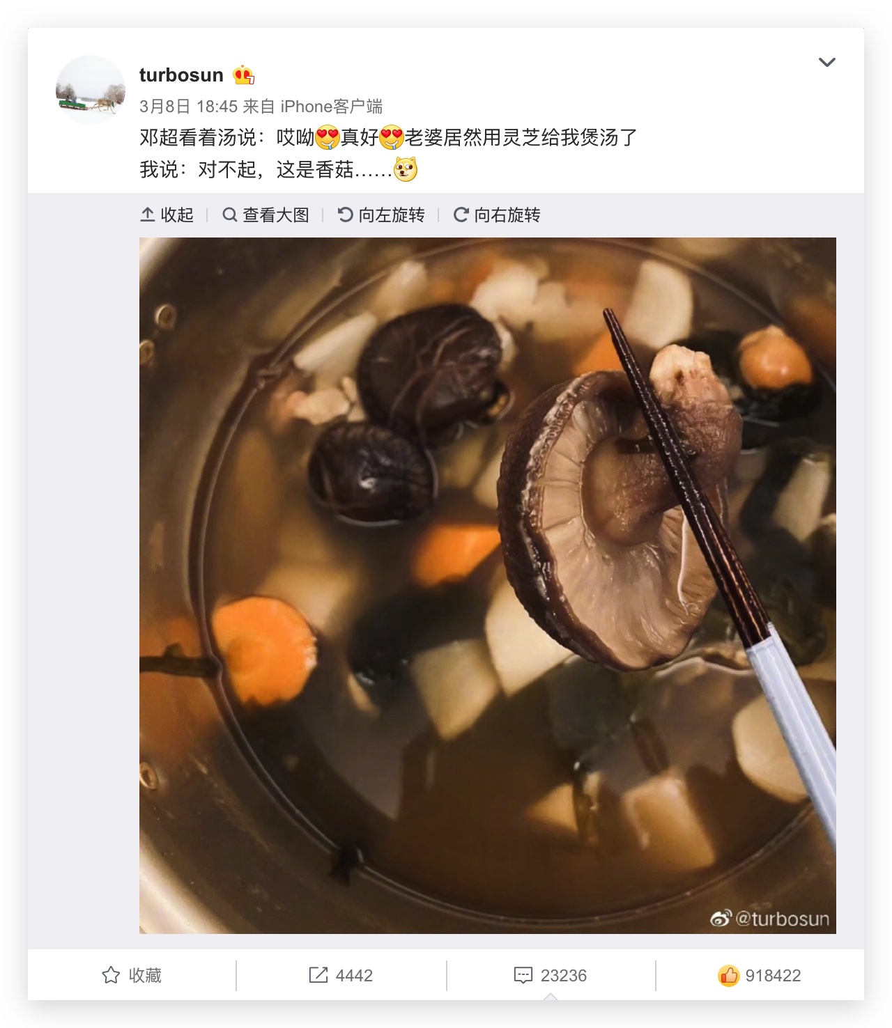 杭州亞運(yùn)會(huì)官方靈芝產(chǎn)品供應(yīng)商|杭州亞運(yùn)會(huì)官方供應(yīng)商|中國(guó)靈芝十大品牌|仙客來靈芝|仙客來靈芝破壁孢子粉|仙客來孢子油|仙客來靈芝飲片|仙客來破壁孢子粉|靈芝孢子油|孢子粉|靈芝破壁孢子粉|靈芝|中華老字號(hào)