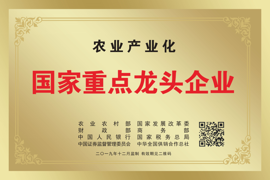 杭州亞運(yùn)會官方靈芝產(chǎn)品供應(yīng)商|杭州亞運(yùn)會官方供應(yīng)商|中國靈芝十大品牌|仙客來靈芝|仙客來靈芝破壁孢子粉|仙客來孢子油|仙客來靈芝飲片|仙客來破壁孢子粉|靈芝孢子油|孢子粉|靈芝破壁孢子粉|靈芝|中華老字號
