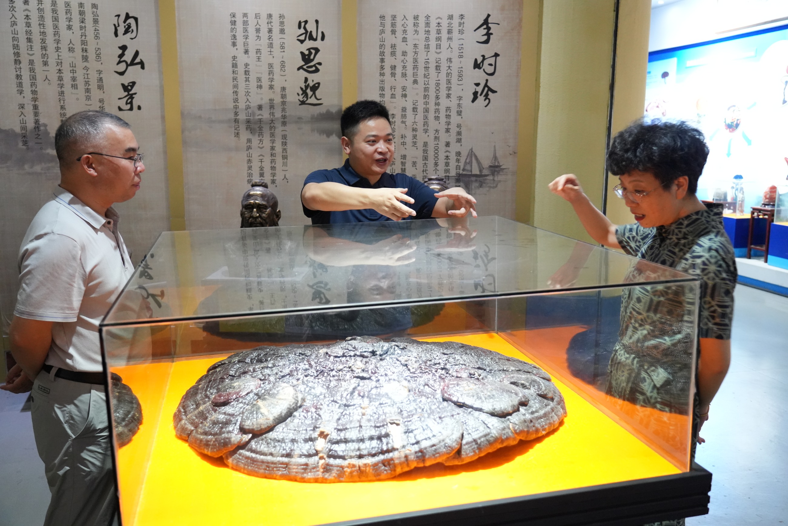 杭州亞運(yùn)會(huì)官方靈芝產(chǎn)品供應(yīng)商|杭州亞運(yùn)會(huì)官方供應(yīng)商|中國(guó)靈芝十大品牌|仙客來靈芝|仙客來靈芝破壁孢子粉|仙客來孢子油|仙客來靈芝飲片|仙客來破壁孢子粉|靈芝孢子油|孢子粉|靈芝破壁孢子粉|靈芝|中華老字號(hào)