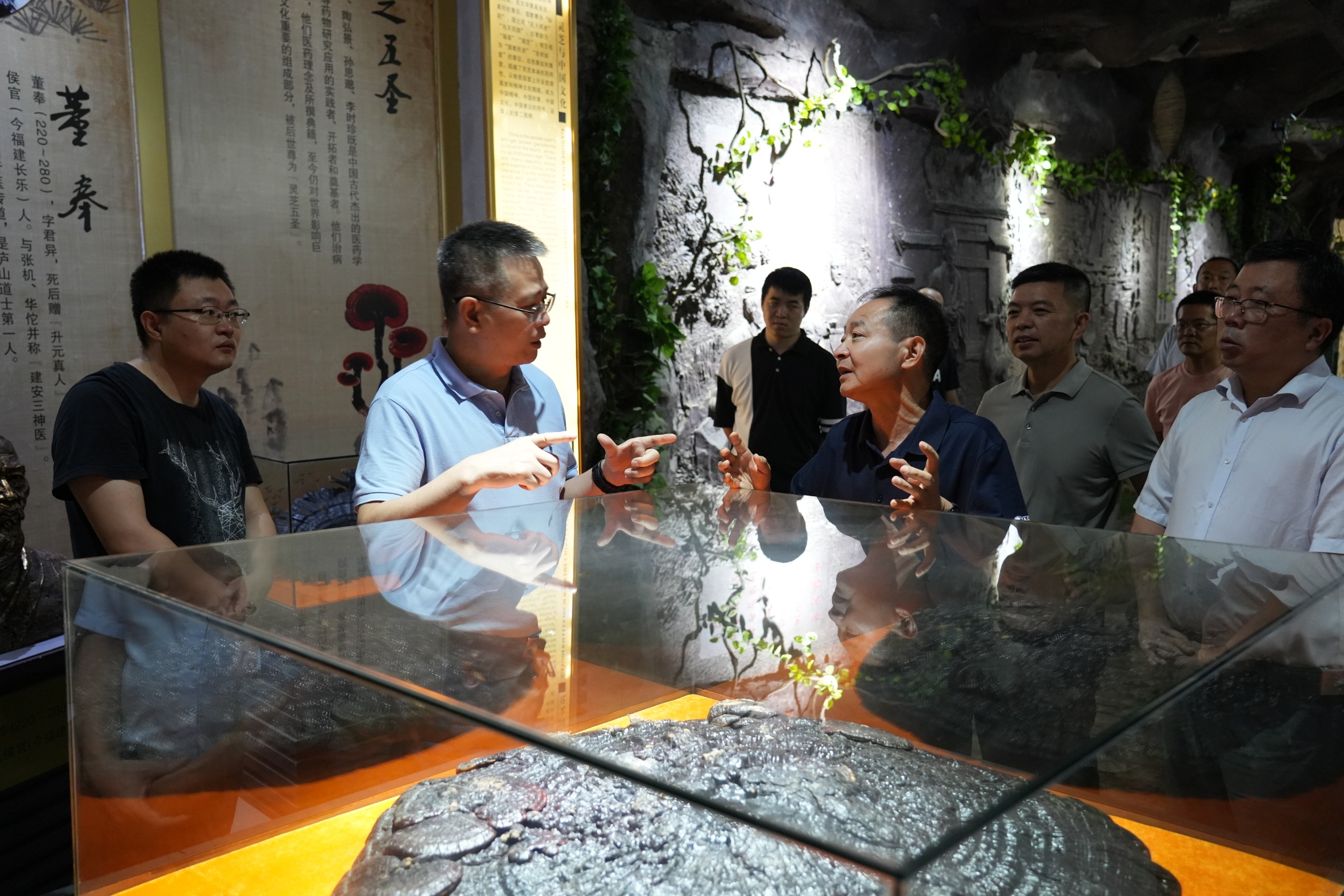 杭州亞運(yùn)會(huì)官方靈芝產(chǎn)品供應(yīng)商|杭州亞運(yùn)會(huì)官方供應(yīng)商|中國(guó)靈芝十大品牌|仙客來靈芝|仙客來靈芝破壁孢子粉|仙客來孢子油|仙客來靈芝飲片|仙客來破壁孢子粉|靈芝孢子油|孢子粉|靈芝破壁孢子粉|靈芝|中華老字號(hào)