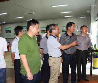 德安縣委、人大、政協(xié)領(lǐng)導(dǎo)考察仙客來公司