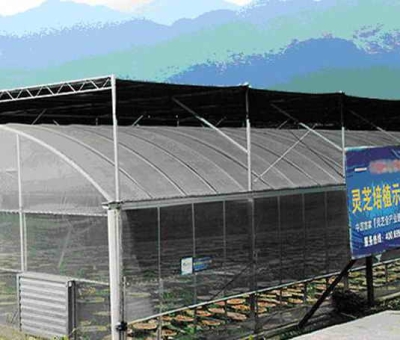 仙客來(lái)公司列入“A級(jí)納稅信用企業(yè)”