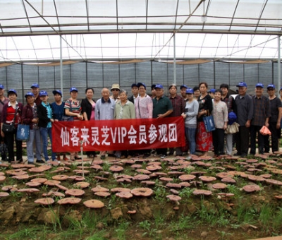 “慶國慶、賀重陽”專家義診活動在仙客來公司隆重舉行