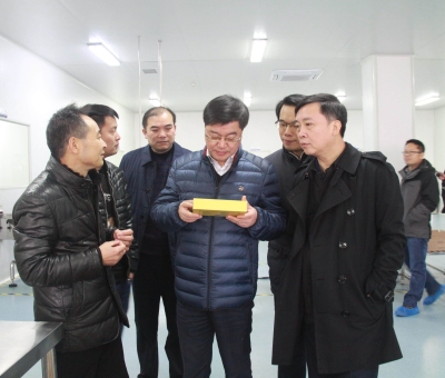 江西省檢察院黨組成員、副檢察長徐勝平一行來公司走訪調(diào)研