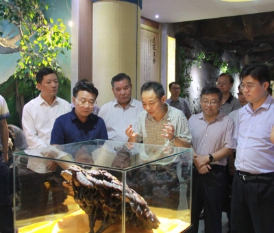 “降成本，優(yōu)環(huán)境”助企業(yè)騰飛——江西省政協(xié)副主席率團調(diào)研仙客來！