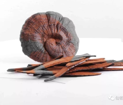 先，鮮，仙，一杯飲盡天下鮮。