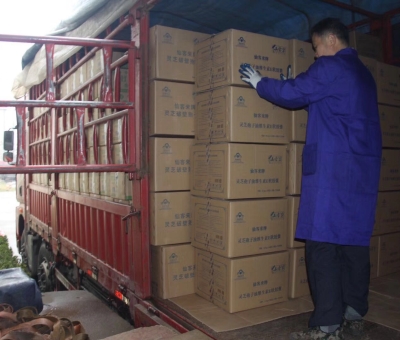 【4天加班15次缺貨】只為人皆有“芝”！