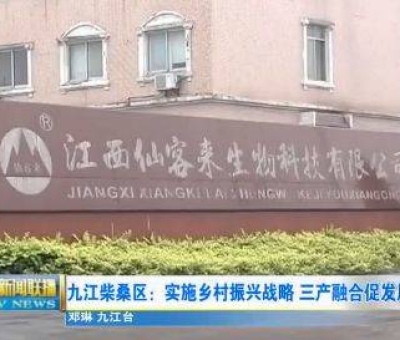 中國人只需要“別具”，缺失了“匠心”！