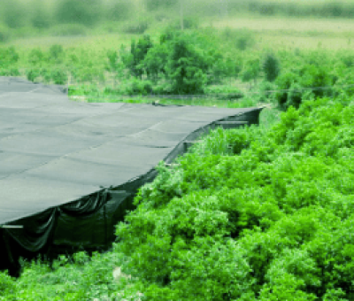 感謝廬山吧，這會(huì)是一場“仙旅情緣”