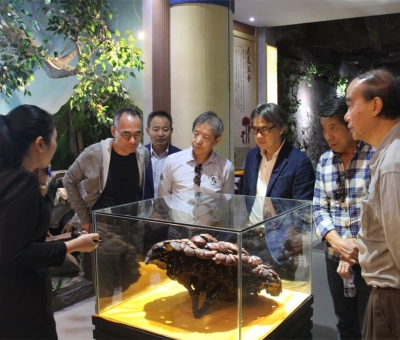 健康“良方”在這！全國政協(xié)委員、世界著名大學(xué)香港大學(xué) 榮譽(yù)院士孫少文博士蒞臨仙客來公司參觀考察