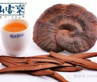 熱潮不斷！仙客來(lái)有機(jī)靈芝被點(diǎn)贊刷屏