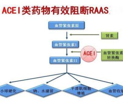不吃藥，能降低高血壓？