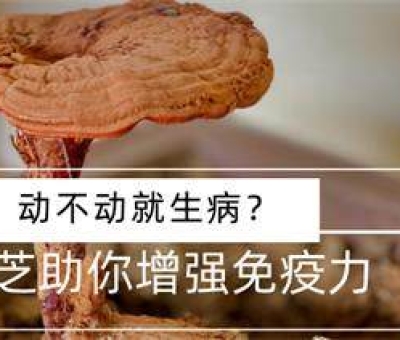 冬病夏治-如何調(diào)養(yǎng)身體？