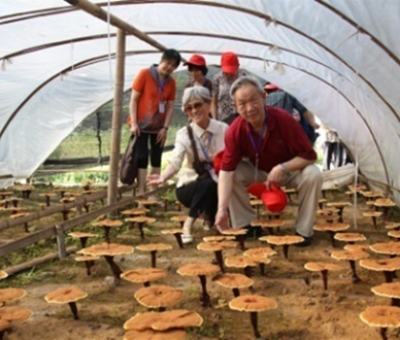 “七一勛章”獲得者張桂梅背后的故事：他們將靈芝磨成粉，送給她拌飯吃，說，吃這些能治病