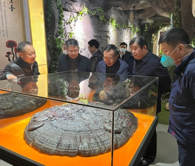 景德鎮(zhèn)市原副市長徐耀純等蒞臨仙客來公司考察調(diào)研