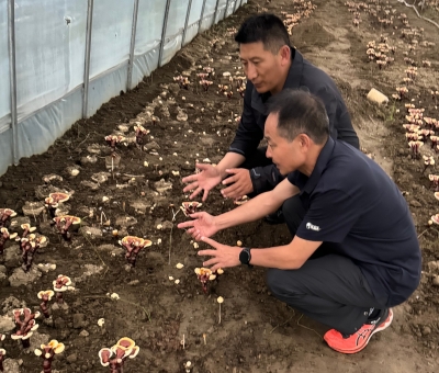 助力少數(shù)民族地區(qū)發(fā)展！潘新華應(yīng)邀前往西藏拉薩市和林芝市 共商產(chǎn)業(yè)發(fā)展良策