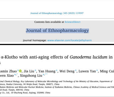 靈芝抗衰老最新研究 - 南開大學(xué)、仙客來等在《Ethnopharmacology》上發(fā)表論文